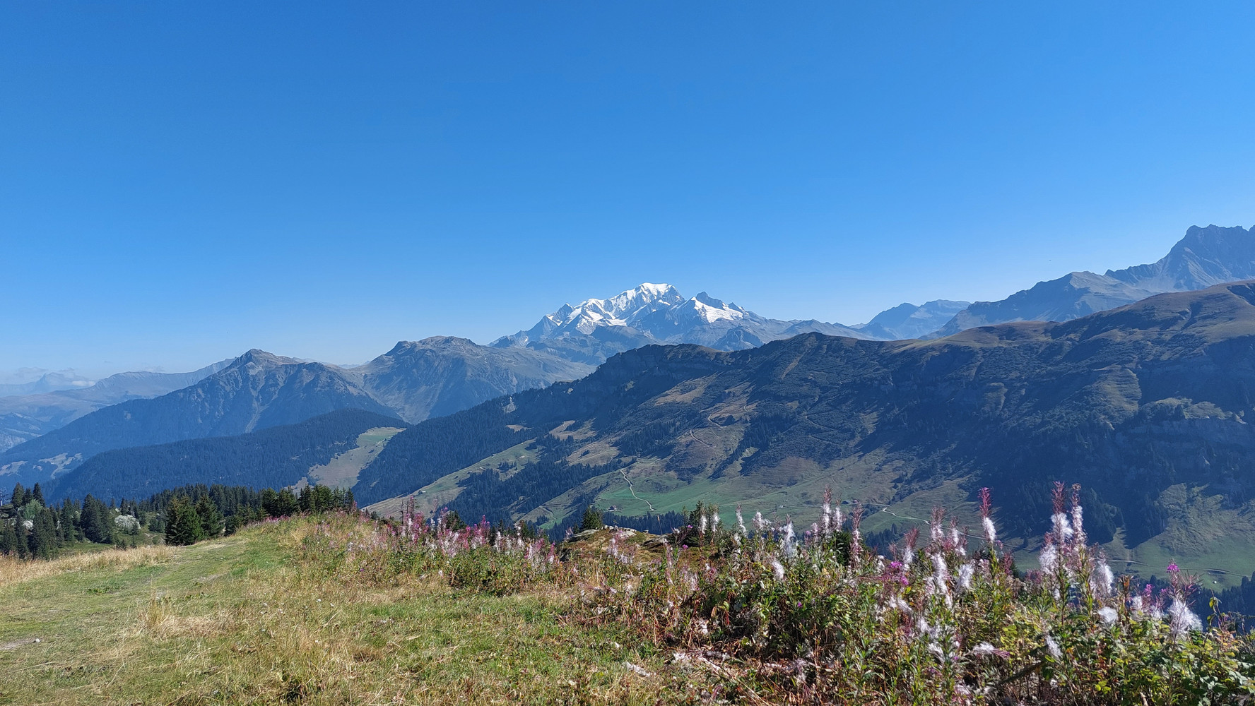 Mont Blanc